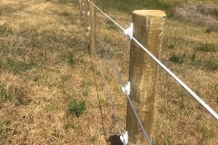 Lifestyle 150 round posts - 3 x Live Sighted Wires - LA100