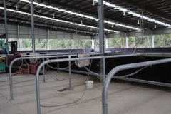 Horse wash bays - LA-S02