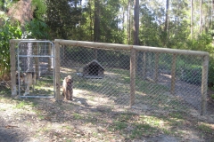 Dog pen - LA-W23