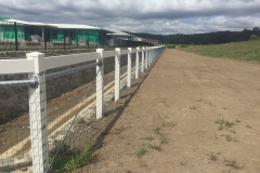 PVC post rail and dog wire plus electric wire - LA-S47