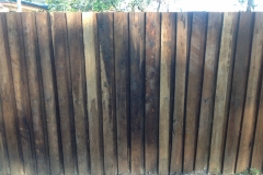 Double lapped hardwood fencing - RD-W39